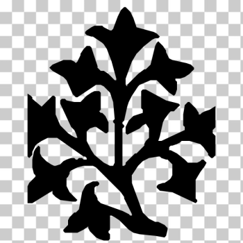 SVG Divider 2 SVG Divider 2