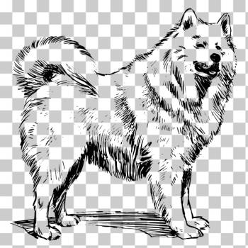 SVG Dog breed