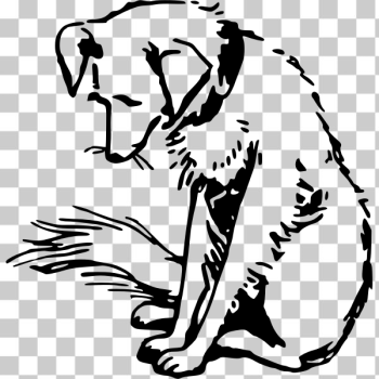 SVG Dog illustration