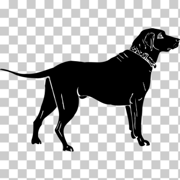 SVG Dog silhouette-1573993052