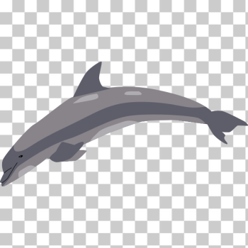 SVG Dolphin in a jump SVG Dolphin in a jump