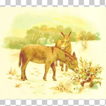 SVG Donkeys illustration