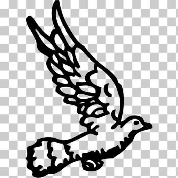 SVG dove 2 SVG dove 2