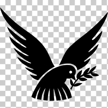 SVG Dove and olive branch SVG Dove and olive branch