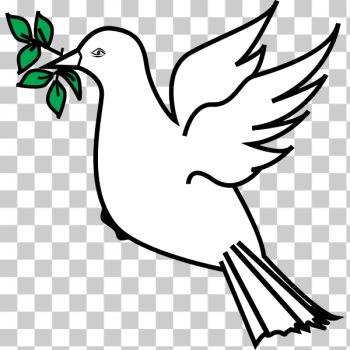 SVG Dove and olive branch drawing SVG Dove and olive branch drawing