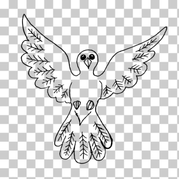 SVG Dove bird outline drawing SVG Dove bird outline drawing