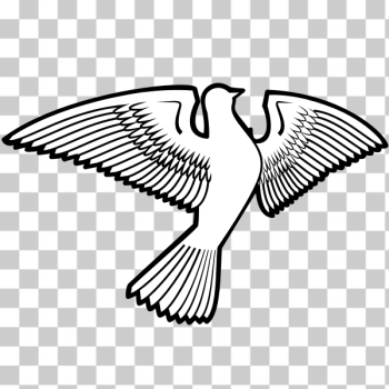 SVG Dove bird silhouette SVG Dove bird silhouette