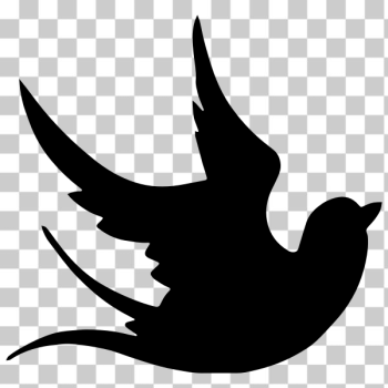 SVG Dove line art silhouette SVG Dove line art silhouette