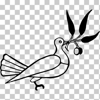 SVG Dove with olive branch SVG Dove with olive branch