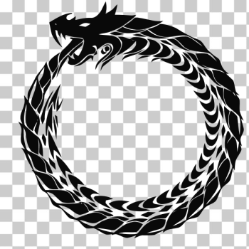 SVG Dragon circle