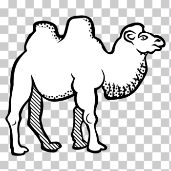 SVG Drawing of camel with spotty throat line art SVG Drawing of camel with spotty throat line art