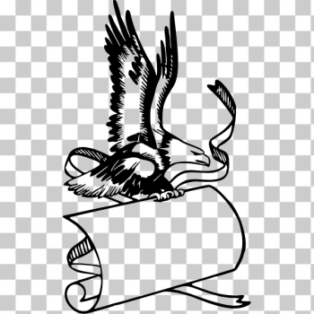 SVG Eagle banner SVG Eagle banner
