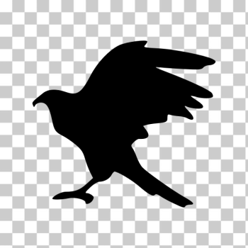 SVG Eagle silhouette clip art SVG Eagle silhouette clip art