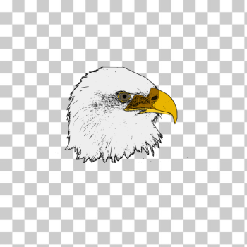 SVG Eagle vector art SVG Eagle vector art