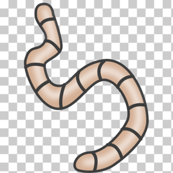 SVG Earthworms SVG Earthworms
