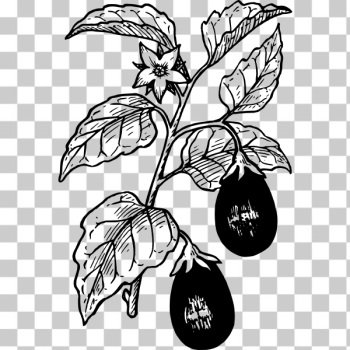 SVG Eggplant-1573823302 SVG Eggplant-1573823302