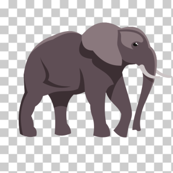 SVG Elephant colored clip art SVG Elephant colored clip art