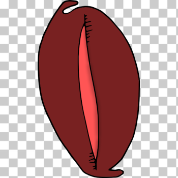 SVG Enter SVG Enter