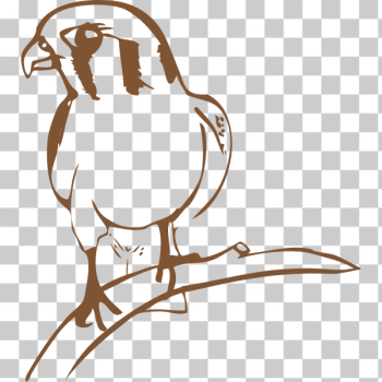 SVG Falcon drawing SVG Falcon drawing