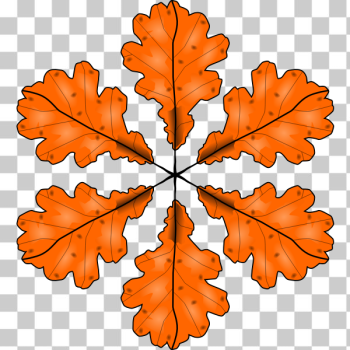 SVG Fall leaf vector illustration