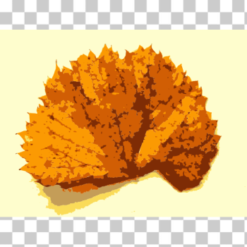 SVG Fall leaves with color SVG Fall leaves with color