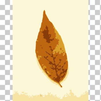 SVG Fall leaves with color 2 SVG Fall leaves with color 2