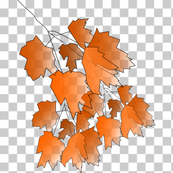 SVG Fall2010-4 SVG Fall2010-4
