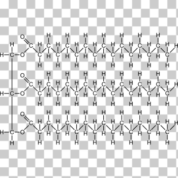 SVG Fat molecule SVG Fat molecule