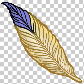 SVG feather - coloured SVG feather - coloured