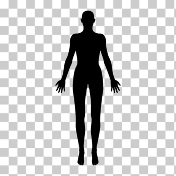 SVG Female body silhouette SVG Female body silhouette