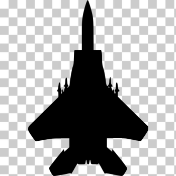 SVG Fighter jet