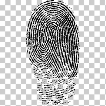 SVG Fingerprint image SVG Fingerprint image