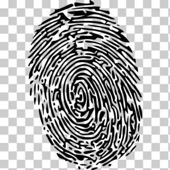 SVG Fingerprint modified image SVG Fingerprint modified image