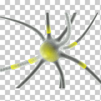 SVG Firing neuron vector clip art SVG Firing neuron vector clip art