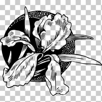 SVG Floral design in black and white SVG Floral design in black and white