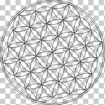 SVG Flower of life symbol vector image