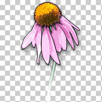 SVG Flower2