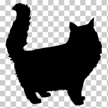 SVG Fluffy cat silhouette SVG Fluffy cat silhouette