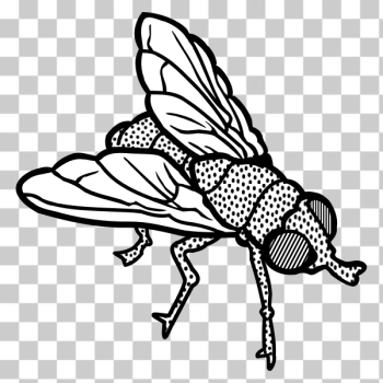 SVG Fly line art vector clip art SVG Fly line art vector clip art