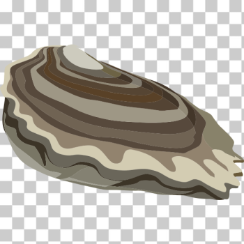 SVG food oysters ocean SVG food oysters ocean