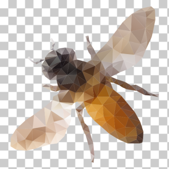 SVG Fractal bee SVG Fractal bee