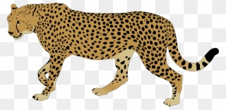 Svg Freeuse Library Cheetah Rainbow Free Collection - Cheetah ...