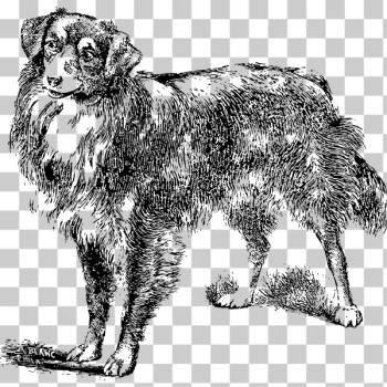 SVG Friendly dog SVG Friendly dog