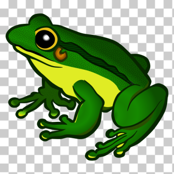 SVG Frog SVG Frog