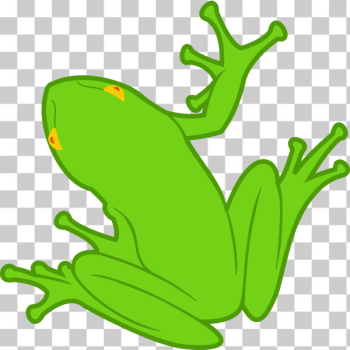 SVG Frog clip art drawing SVG Frog clip art drawing