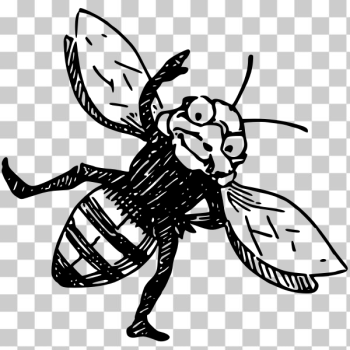 SVG Funny bug SVG Funny bug