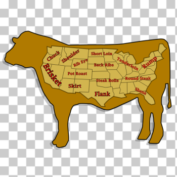 SVG Funny vector illustration of beef cuts SVG Funny vector illustration of beef cuts