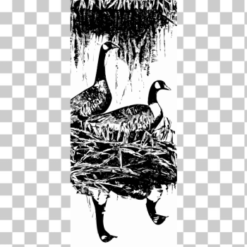 SVG Geese vector image SVG Geese vector image
