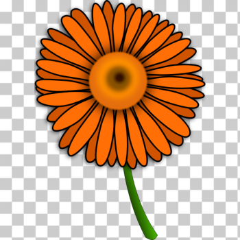 SVG Gerbera SVG Gerbera