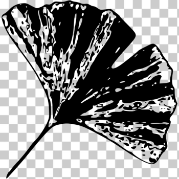 SVG Gingko Leaf B SVG Gingko Leaf B